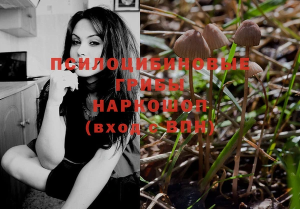 прущая мука Арсеньев
