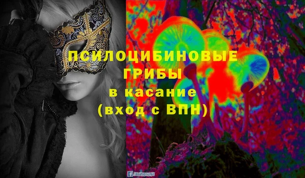 амф Аркадак