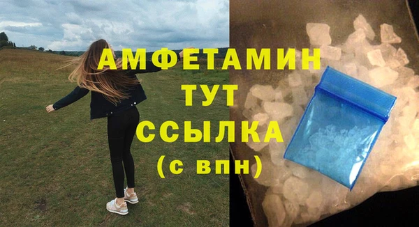 амф Аркадак