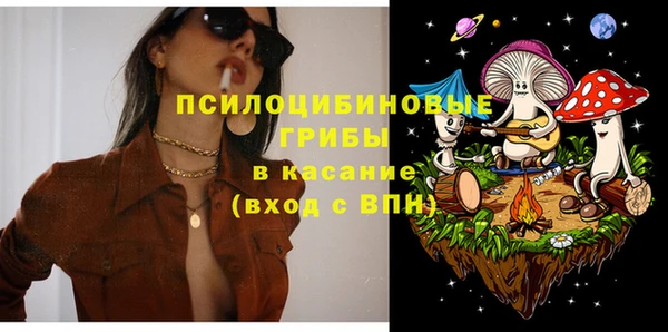 прущая мука Арсеньев